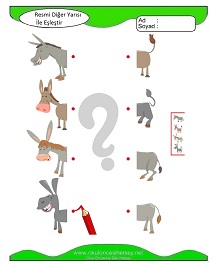Resmi Diğer Yarısı ile Eşleştir Çalışma Sayfaları